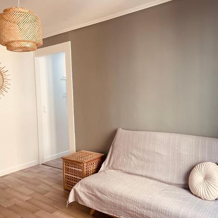 Le Coin Cosy L Balcon Lejlighed Castres  Eksteriør billede