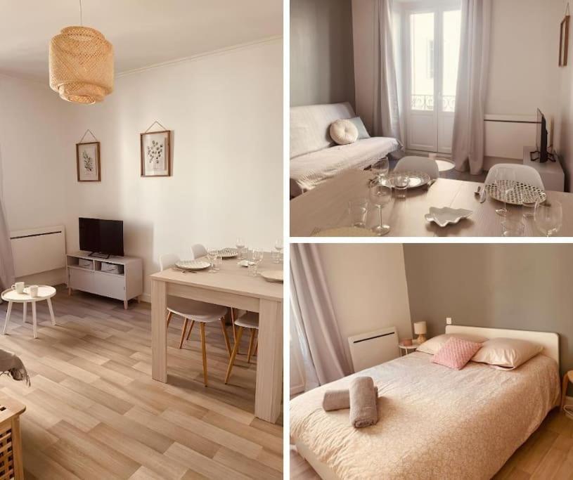 Le Coin Cosy L Balcon Lejlighed Castres  Eksteriør billede